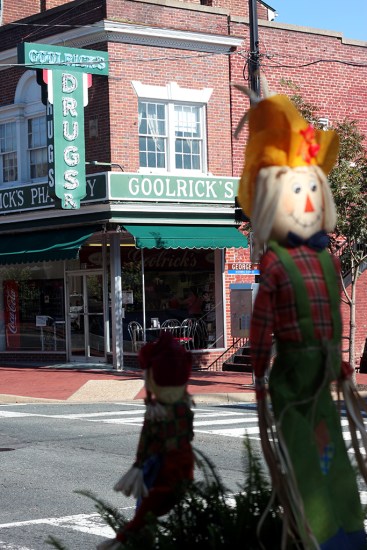 Garlic's featured in the background.